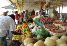São Paulo orgânica, vegana, natureba