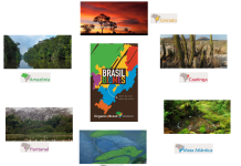 22 de maio – Dia Internacional da Biodiversidade