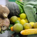 Conferência Green Rio 2015 discute estratégias para a economia verde e o setor de alimentos orgânicos no Jardim Botânico (Fernando Frazão/Agência Brasil)
