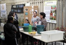 Porto Alegre inova e troca resíduos por livro e alimentos