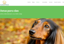 Site ensina dietas naturais para cães