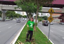 O plantador de árvores