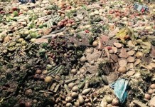 Parlamento Francês proíbe supermercados de desperdiçar alimentos