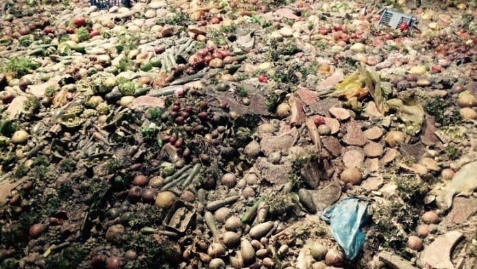 desperdicio_de_alimentos