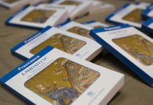 ONU e WWF elogiam encíclica verde e atitude do Papa Francisco