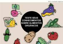 Por segurança alimentar, cresce consumo de orgânicos no Brasil