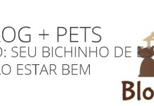 Blog +Pets – SINAIS DE DOENÇA DOS ANIMAIS DE ESTIMAÇÃO