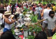 Festival Cultivar é opção de integração da vida urbana com a natureza