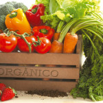 alimentos_organicos_2
