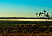 Turismo ecológico: Cerrado