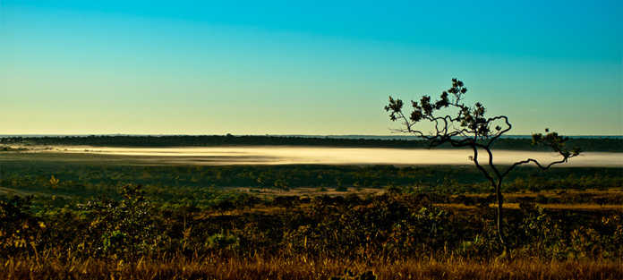 cerrado-wwf