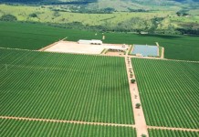 Regras para quem quer ter uma fazenda sustentável