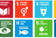 Conheça as 17 metas da agenda de desenvolvimento global