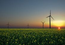 Siemens vai investir R$ 440 milhões para reduzir CO2 a zero até 2030