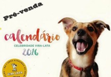 Virada Animal: Passeio Ciclístico pelos Animais