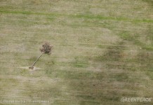 Desmatamento na Amazônia equivale ao estado de São Paulo