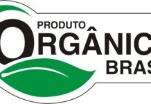 Gôndola Verde: Brasil passará a exportar frango orgânico
