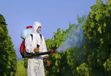 Brasil é o país que mais usa agrotóxicos no mundo