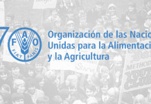 FAO completa 70 anos