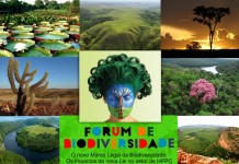 Fórum sobre Lei da Biodiversidade para setor de cosméticos