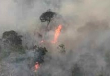 Fogo destroi a Terra Indígena Arariboia (MA) e atinge grupo Awá em isolamento voluntário