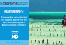 Objetivo 14: Conservação e uso sustentável dos oceanos, dos mares e dos recursos marinhos para o desenvolvimento sustentável