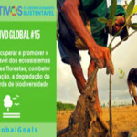 objetivo 15