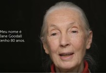 Série Humans: Conheça a história de Jane Goodall, a antropóloga que promove a consciência ambiental