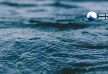 Rio promove campanha de prevenção do lixo no mar
