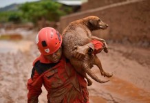 Boatos, lama, coletiva e fé