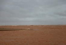 Não deu praia