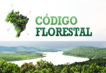 Regulamentação do Código Florestal