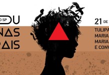 Artistas se reúnem em prol do Rio Doce