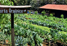 Consumo consciente: Bem estar para todos