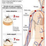 Info Chikungunya