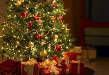 72 milhões de árvores de Natal são iluminadas com economia