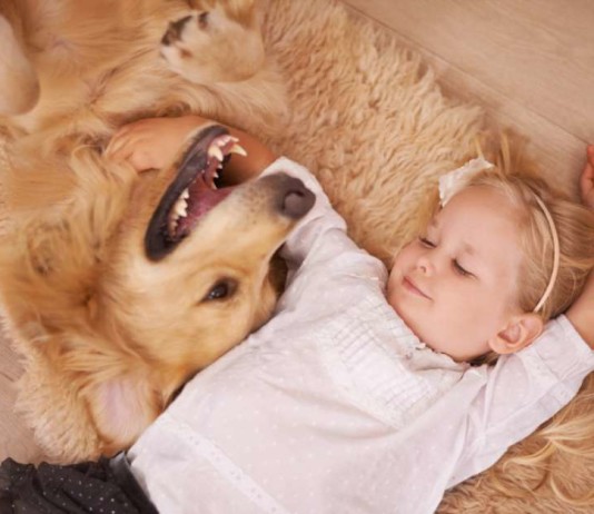 Música boa para cachorro