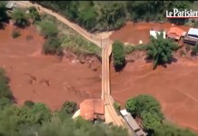 Lama do Brasil – um silêncio ensurdecedor