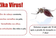 O drama do zika vírus