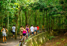 Itaipu reserva boas opções para o turista