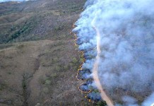 Número de queimadas no Brasil cresce 27,5% em 2015