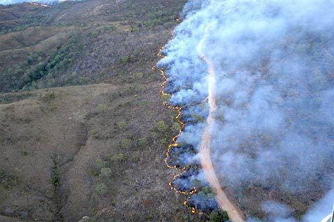 Incêndio-Na-Chapada-Diamantina