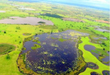 Consequências das fortes chuvas em Mato Grosso do Sul