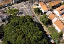 Websérie “Espécies da Mata Atlântica”: Movimento Boa Praça