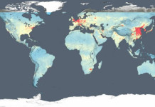 Índice de poluição cresceu na China, Índia e no Oriente Médio