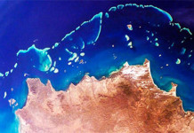 NASA vai realizar expedição nos oceanos focando em recifes de coral