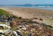 Estudo alerta que oceanos poderão ter mais plástico do que peixes em 2050