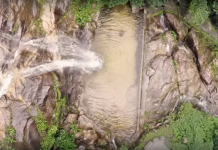 Websérie “Espécies da Mata Atlântica”: Observando os rios