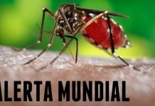 Primeiro caso de zika transmitida por relação sexual é registrado na França