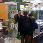 MN Própolis 2